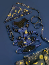 Celestial Night Luxe Combo